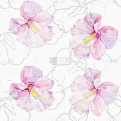 水彩花行话。