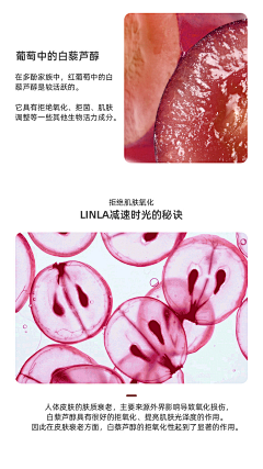 Huang%采集到护肤品产品成分