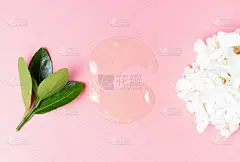 滋润胶原蛋白斑块，绿叶粉红底色，面膜概念