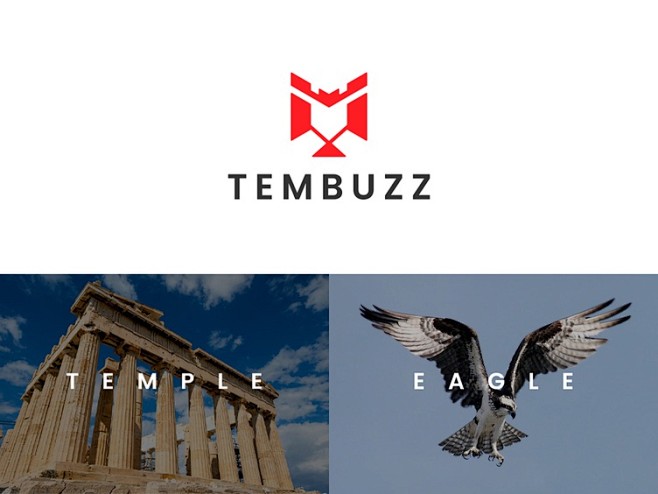 TemBuzz Sports Logo ...