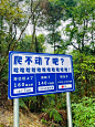微博