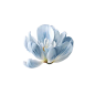 906