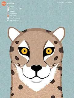 一组呼吁保护动物的海报，左上角的标识意味着这个物种存活量已经到了哪种地步，最上面的是已经灭绝的。仔细看它们的眼睛，你看到了什么？