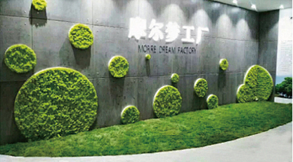 苔藓墙人造苔藓微景观绿植办公室苔藓形象墙...