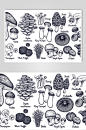 蘑菇手绘线稿食材矢量素材-众图网