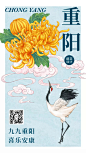 重阳节海报