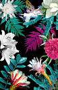 Floral Botanic by Karen Hofstetter www.karenhofstetter.com www.society6.com/karenhofstetter: 