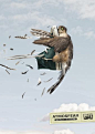 This contains an image of: Playland Falcon/King Fisher/Pigeon | 2012 Awards Winner | Applied Arts