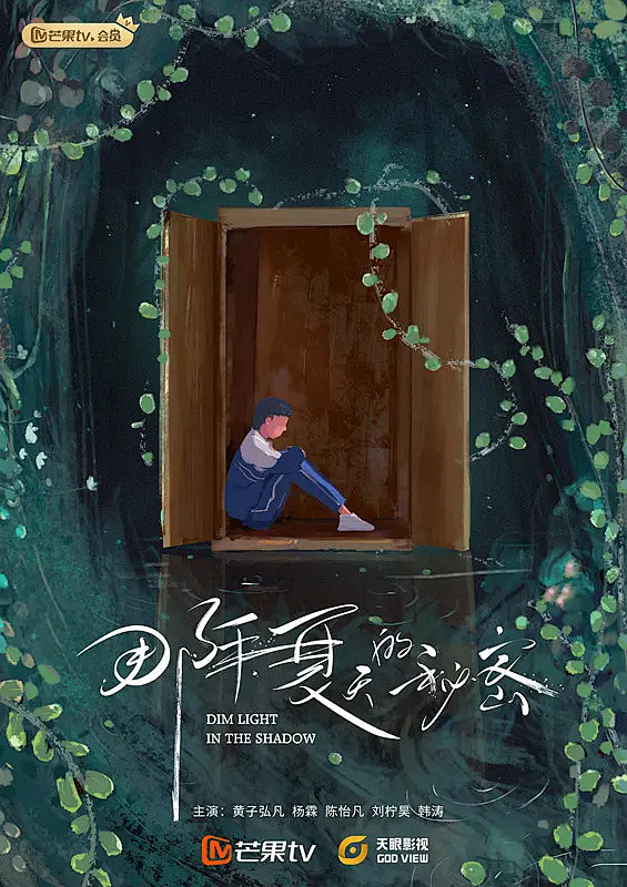 那年夏天的秘密 海报