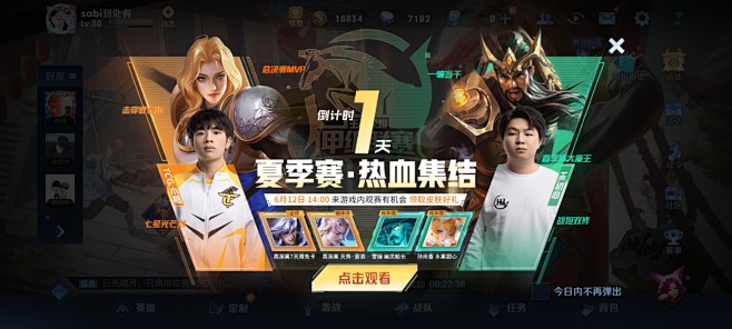 王者荣耀 (21)