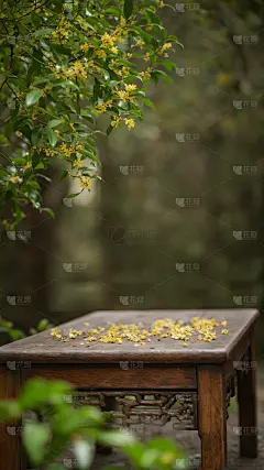 秋天实景感桂花桌面展台背景