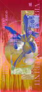 InAward|妃妮FEINII夏天的颜色 - 小红书