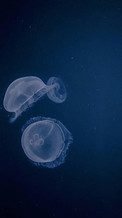 清新炫彩创意图片手机壁纸