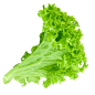 生菜-2png