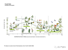 植物分析图-花瓣网|陪你做生活的设计师 | 植物分析图