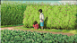 屏幕快照 2019-06-23 上午11.42.30