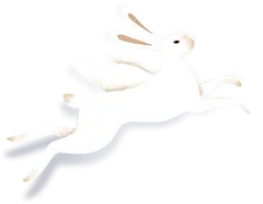 https://yanxuan.nosdn.127.net/15371514321158169.png