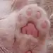 亦訫