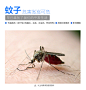 太阳能灭蚊灯户外防水驱蚊灯家用室内灭蚊器花园庭院商用灭蚊神器-tmall.com天猫