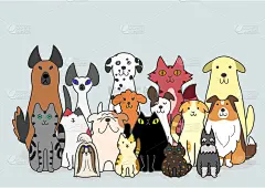 狗和猫组
