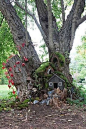 faery house: 