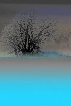 桌面壁纸预览_高清电脑桌面壁纸大全_风景壁纸_美女壁纸_动漫壁纸大全_漫漫看壁纸库