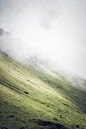 grass covered slope during foggy weather