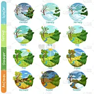 一年中十二个月设置，四季自然景观冬、春、夏、秋矢量插图