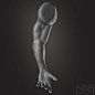 Anatomy - HUMAN ARM, , Souradipnath - CGSociety