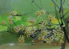 水彩---樱花-梨花-桃花-海棠花、梅花 - 高清图片，堆糖，美图壁纸兴趣社区