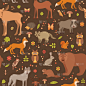 动物,森林,分离着色,可爱的,自然,动物园,图像,松鼠,驼鹿,收集