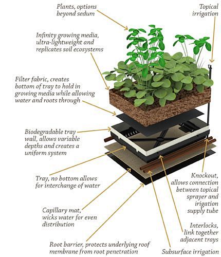 ❧ Green Roof Specs