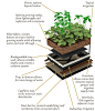 ❧ Green Roof Specs
