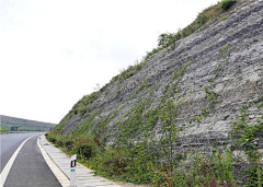 小严123采集到德化