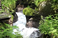 盛夏之时，去长白山避暑吧，萌萌哒