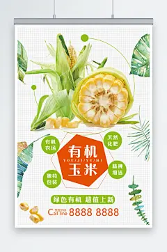 最新原创蔬菜宣传海报