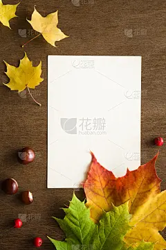 欢迎秋天。白色空白的秋季贺卡，五颜六色的枫叶和栗子。模拟假日明信片和季节性优惠作为广告。文本的空位置