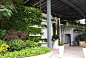垂直绿化 立体绿化 建筑绿化 景观墙 建筑外墙设计 景观墙
项目名：1979水湾
来源： 深圳市润城生态环境股份有限公司