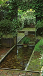 池塘 · 庭院