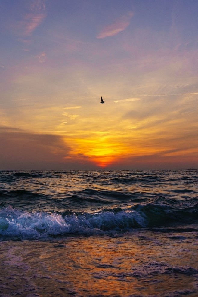 飘飘何所似天地一沙鸥