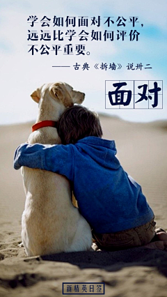 阳阳阳小小小露露露采集到版式