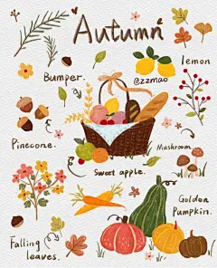 秋插画 - 小红书搜索