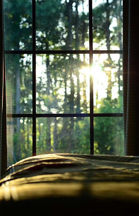 每天早晨，起床前，我都需要那束阳光！