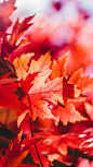 unsplash.com