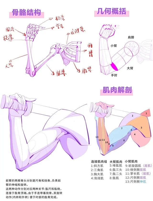 画画的帅帅 • 小红书 / RED