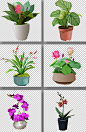 创意绿色植物盆栽手绘写实厚涂元素插画