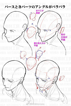 西尔维娅Zzzz采集到学习 Study