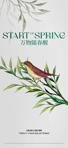 【南门网】海报 二十四节气 立春 春分 惊蛰 清明 鸟 柳树枝 极简