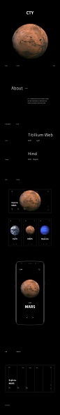 CTY — Space Travels : CTY is a leading space travel company. It deals with the transportation of passengers and cargo to the planets of the solar system.