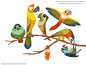 (111) Pinterest